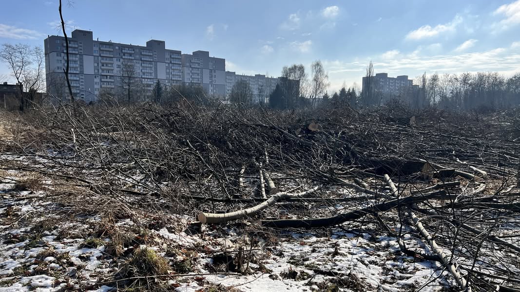 Ten artykuł wyjaśnia kontrowersje związane z wycinka drzew. Co nie zmienia faktu, że zapraszamy do dyskusji.