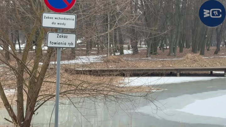 Dziś trudno wyobrazić sobie Czeladź bez Parku Grabek.
