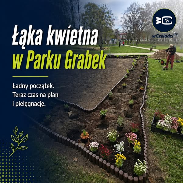 Łąka kwietna w Parku Grabek. Ładny obrazek to dopiero początek